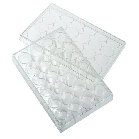 Celltreat Untreated 48 Well Cell Culture Plates ⋆ Morganville Scientific