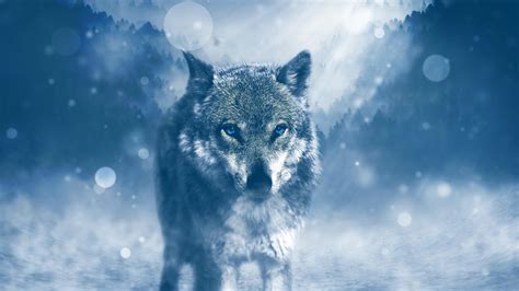 Wolves 4K Wallpapers - Top Free Wolves 4K Backgrounds - WallpaperAccess