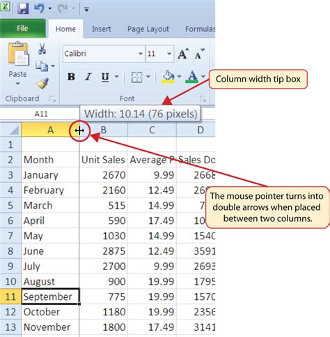 Unit 1 Excel Fundamental Information Systems