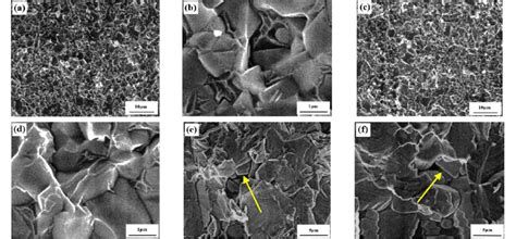 Sem Micrographs Of The Fracture Locations A B C On The Baseplates In