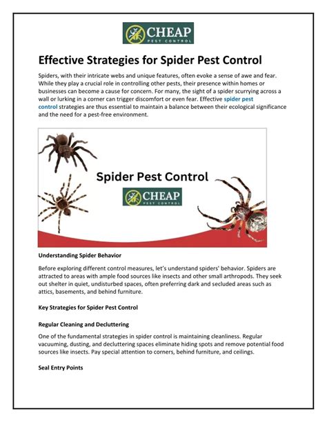 Ppt Effective Strategies For Spider Pest Control Powerpoint Presentation Id12688996