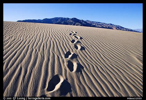 Picturephoto Footprints In The Sand Leading Towards Mountain Death