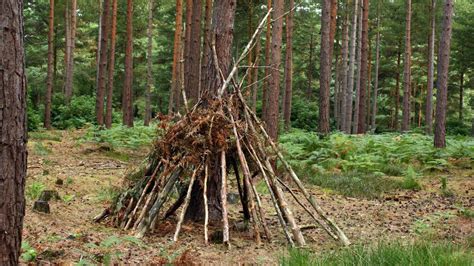 Den Building Kits And Ideas How To Build A Den Outside