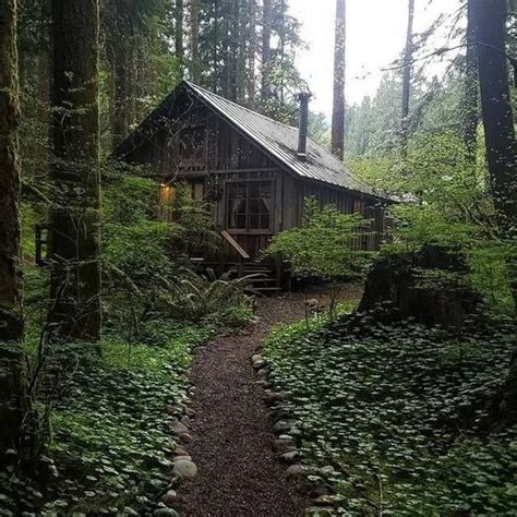 A Wooden Cabin In The Woods Surrounded By Tall Trees And Greenery With