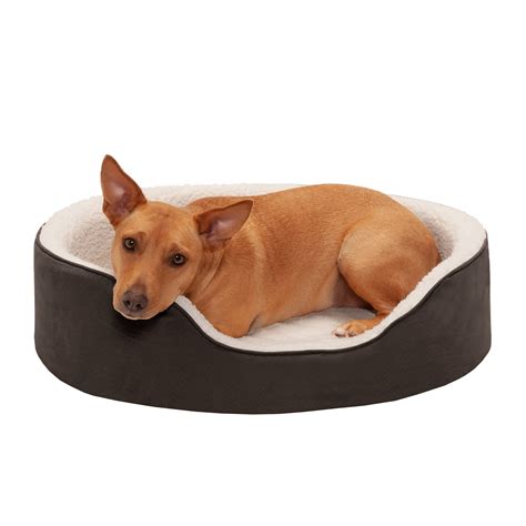 FurHaven Pet Dog Bed | Orthopedic Faux Sheepskin & Suede Oval Lounger ...