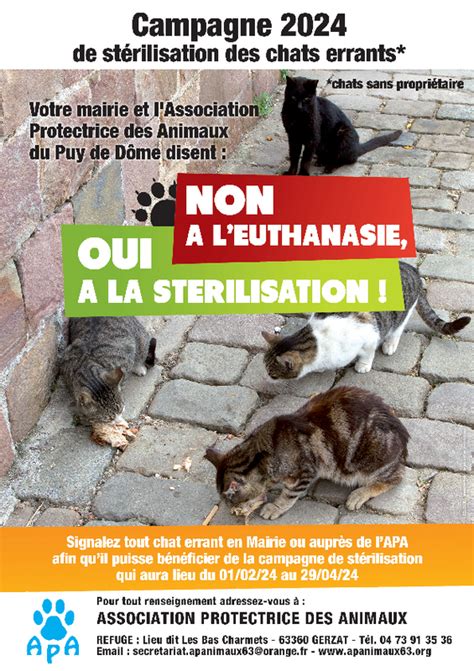 Campagne De St Rilisation Des Chats Errants Mur Sur Allier