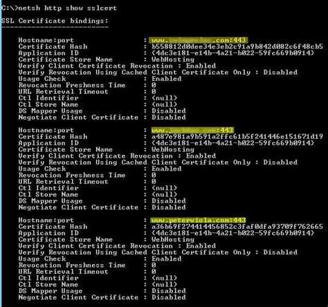 Scaling SSL With IIS 8 Server Name Indication (SNI) | Peter Viola