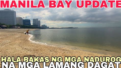 Manila Bay Update Hala Bakas Ng Mga Nadurog Na Mga Lamang Dagat Kitang