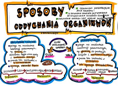 Klasa 5 Biologia Sposoby oddychania organizmów karta pracy kolorowa