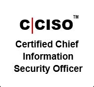 Informatica Integrada Internetworking Certified Chief Information