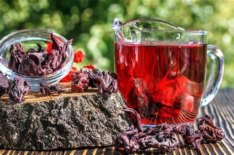 Hibiskus nedir Hibiskus çayının faydaları nelerdir