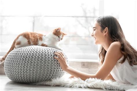 Come Sviluppare Una Buona Relazione Con Il Gatto Senza Fare Errori