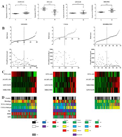 Distribution Of Risk Score Os Gene Expression And Clinical Or