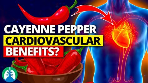 Take Cayenne Pepper Daily To Clean Your Cardiovascular System Youtube