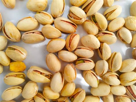 Pistachio Nuts Isolated On White Background Stock Image Image Of