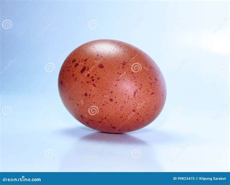 Egg Single Egg Horizontally On A White Background Stock Image Image