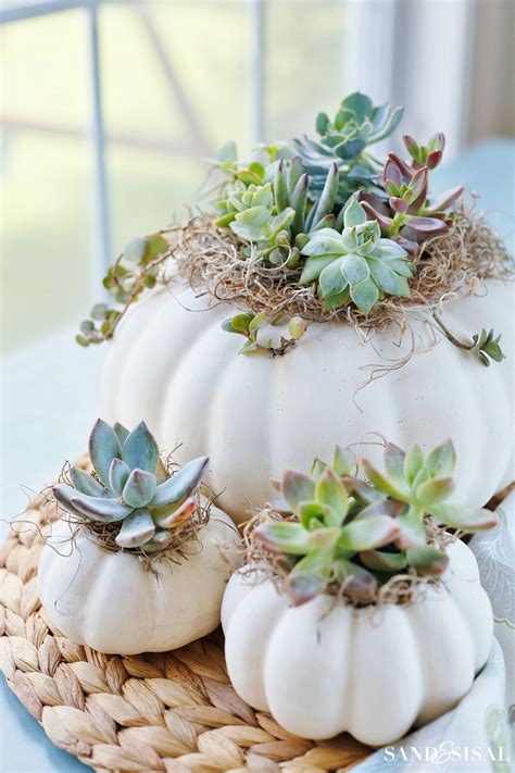 Over Ways To Diy A Craft Store Pumpkin Anderson Grant