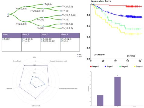 Autorpa A Web Server For Constructing Cancer Staging Model By