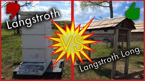 Comparing Langstroth Vs Langstroth Long Top Bar Beehives Youtube