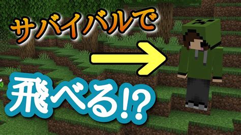 【マイクラ統合版コマンド】サバイバルでも飛行可能！？ Youtube