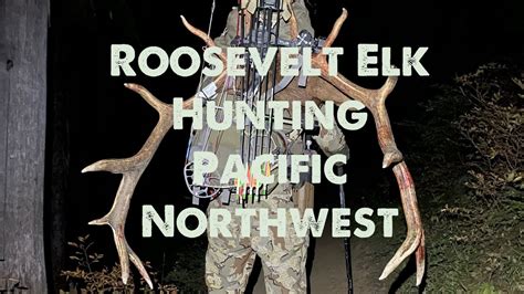 Roosevelt Elk Hunting • Pacific Northwest Youtube