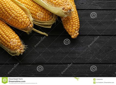 Sweet Corns Stock Image Image Of Agriculture Farm 123928439