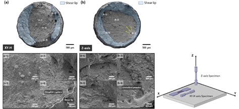 Fractography Of The Tensile Test Specimens A XY H Axis B Z Axis