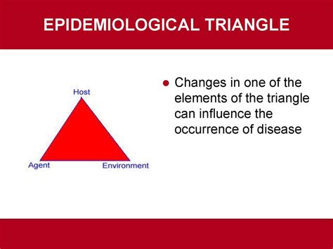 Basic Concepts In Epidemiology презентация онлайн