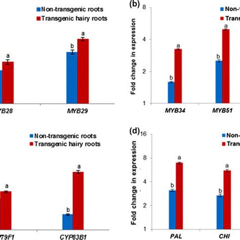 The Expression Level Of Genes Associated With Gsls And Phenolic