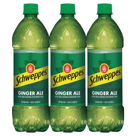 Save On Schweppes Ginger Ale Soda Caffeine Free 6 Pk Order Online