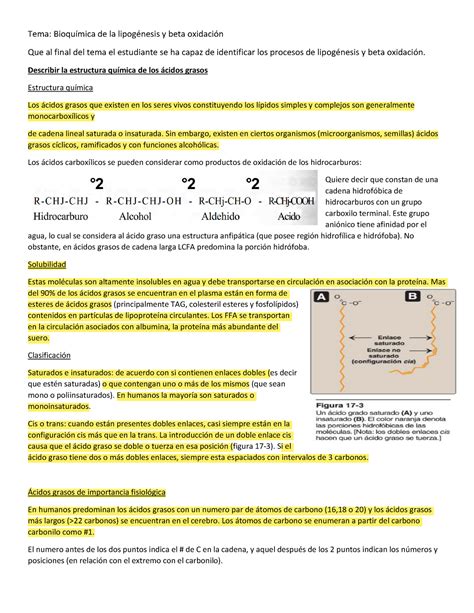 Resumen Bioqu Mica De La Lipog Nesis Y Beta Oxidaci N Marchado Tema