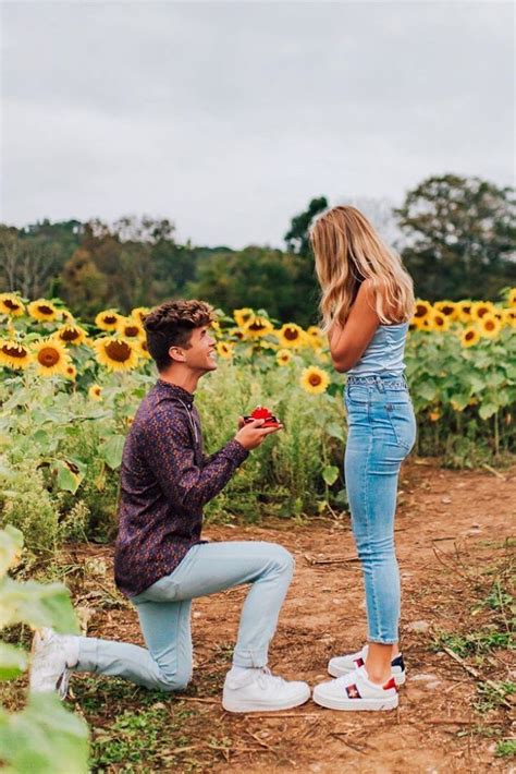 Sunflower Field Proposal Laurel Creative Sunflower Field Proposal