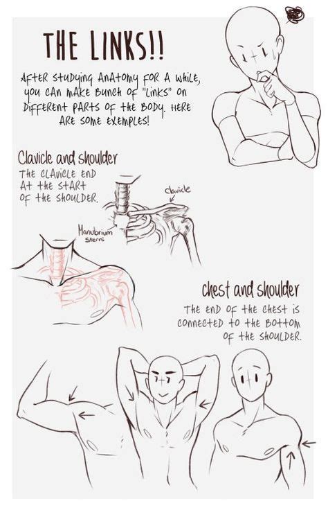 Pin By Olivia On Art Refs Drawing Tips Anatomy Body Reference Drawing