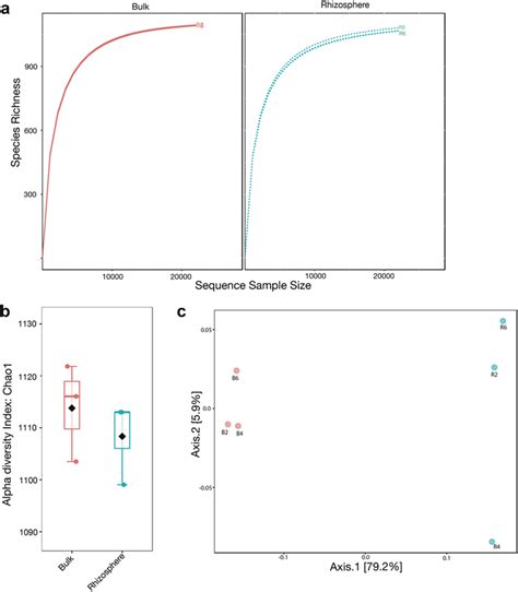 A Rarefaction Curves B Alpha Diversity Index Box Plot C Beta Diversity