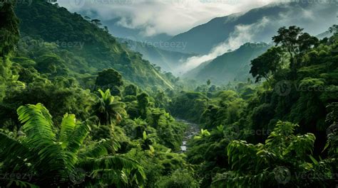 Forest Green Rainforest Lush Ai Generated Stock Photo At Vecteezy