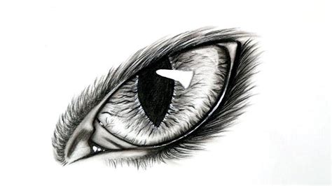 25 Easy Cat Eye Drawing Ideas - How to Draw a Cat Eye