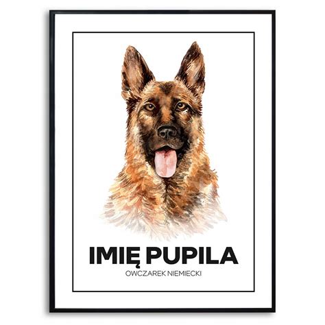 Plakat Duży 140x100 cm IMIĘ PSA Owczarek Niemiecki Rysunek Pupil