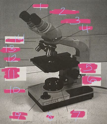 Parts Of A Compound Microscope Flashcards Quizlet