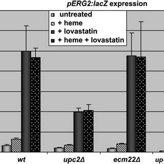 Additional Heme Did Not Affect Lovastatin Induction Of ERG2