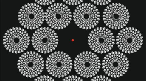 Award-Winning Optical Illusions and Brain Puzzles