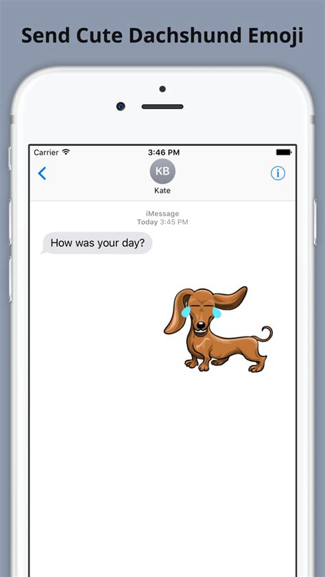 Iphone 용 Weinermoji Dachshund Emoji Stickers 다운로드