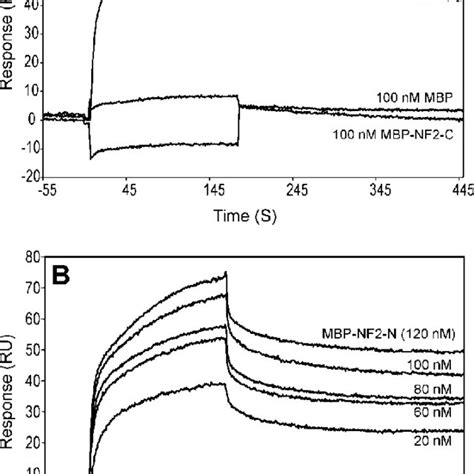 Surface Plasmon Resonance Spr Analysis Of The Interaction Between Download Scientific Diagram