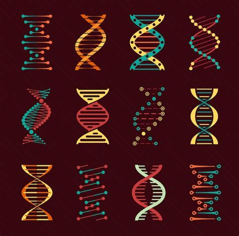 Dna Vectorpictogrammen Met Helices Van Menselijke Genen Premium Vector