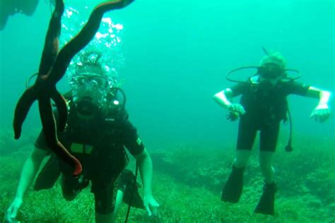 Bautismo De Buceo En El Parque Natural Del Cabo De Gata