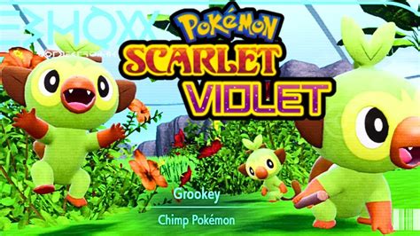 Where To Find The Starter Pokemon Grookey Pok Mon Scarlet Violet