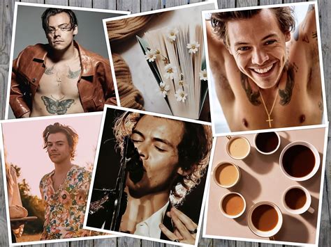 Harry Styles Wall Collage Kit Neutral Beige Aesthetic Room Etsy