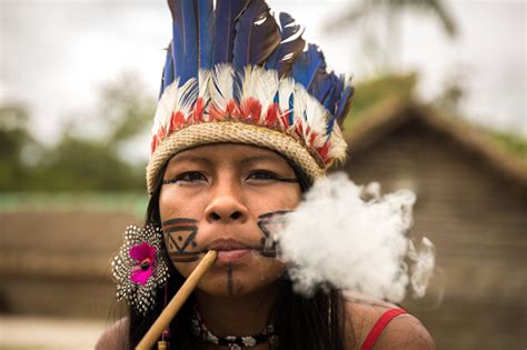 숲 브라질에서에서 Tupi Guarani 부족 흡연 파이프에서 원주민 소녀 담배 용품에 대한 스톡 사진 및 기타 이미지 담배