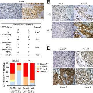 Atf Suppresses Migration Of Tp Mutated Cancer Cells A And B A