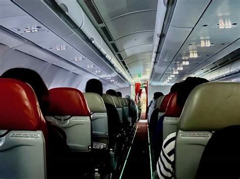 Which Airlines Will Allow You Buy A Seat For Your Dog Travelnuity