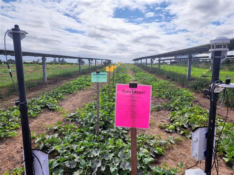 Case Study Oregon Agrivoltaic Research Facility AgriSolar Clearinghouse